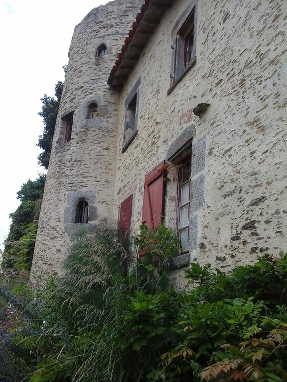 Bed and Breakfast La Tour des Laudes à Breuil-Barret Extérieur photo